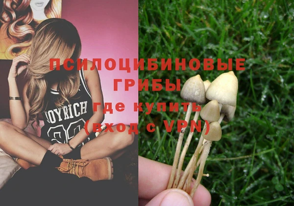 спайс Заводоуковск